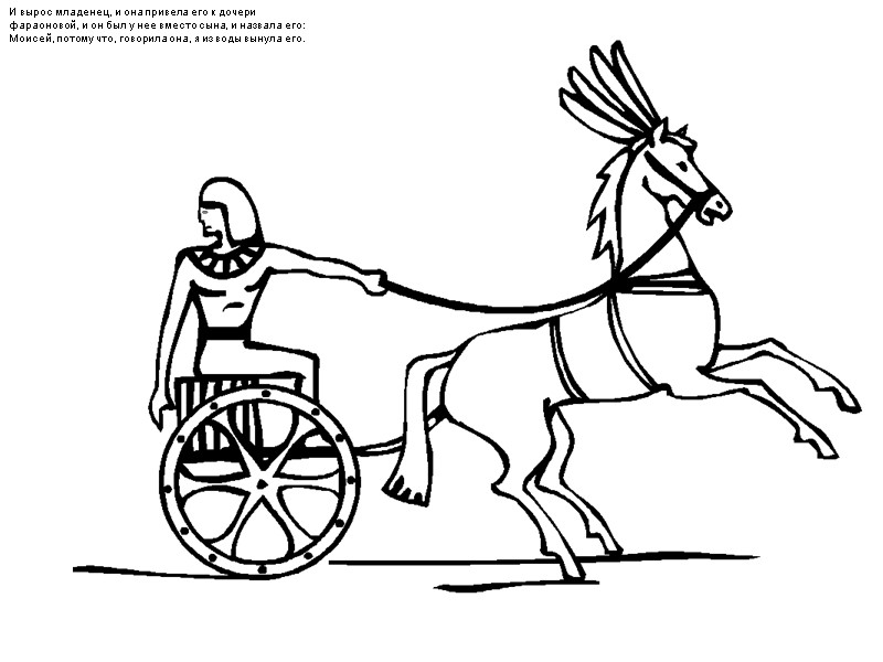 И вырос младенец, и она привела его к дочери фараоновой, и он был у